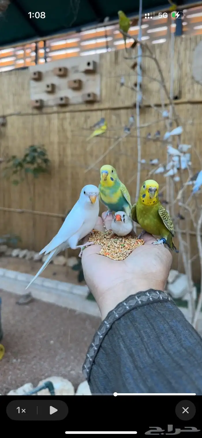 محمية طيور للإيجار بالساعة 0