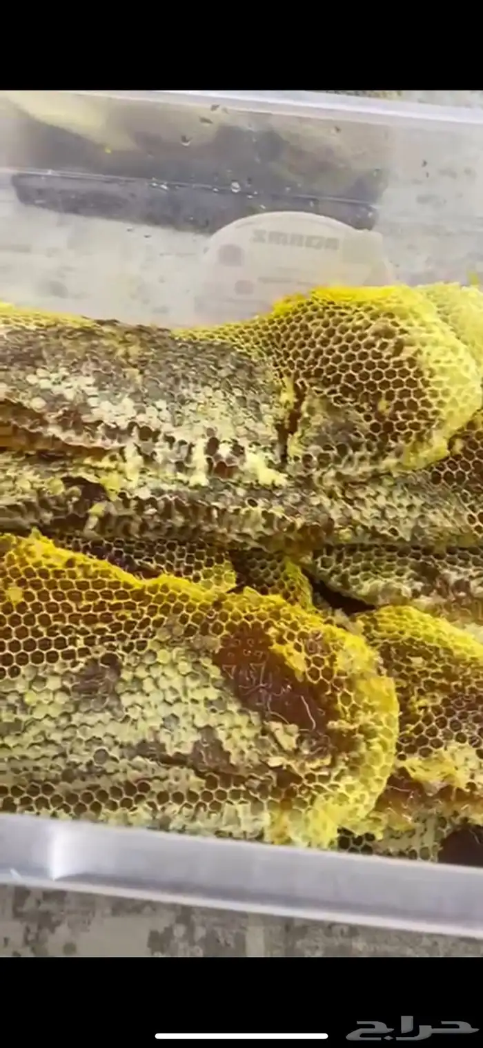 عسل شمع وسايل قرضة وسدرة على الشرط مضمون 100 0