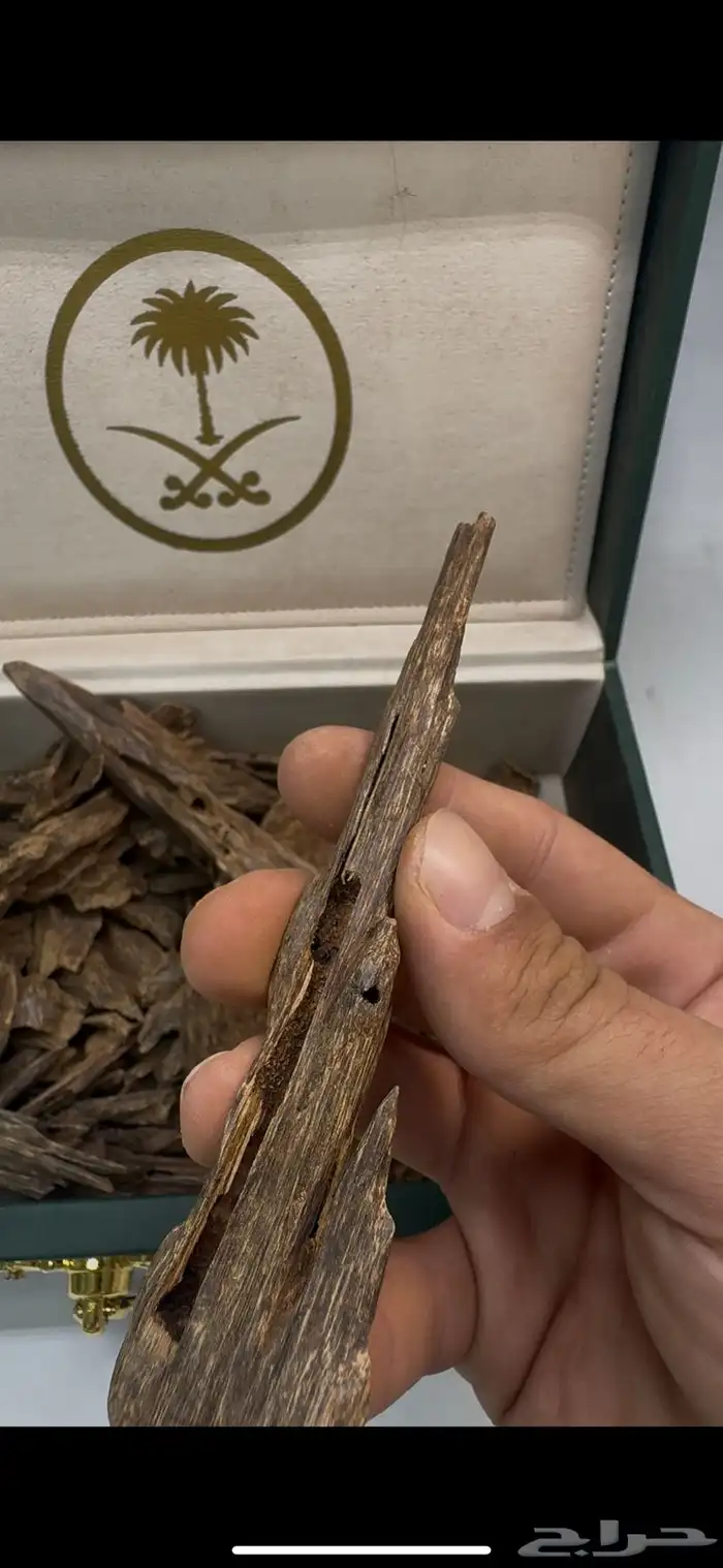عود ماليزي قديم درجه مرتفعه نوادر 0