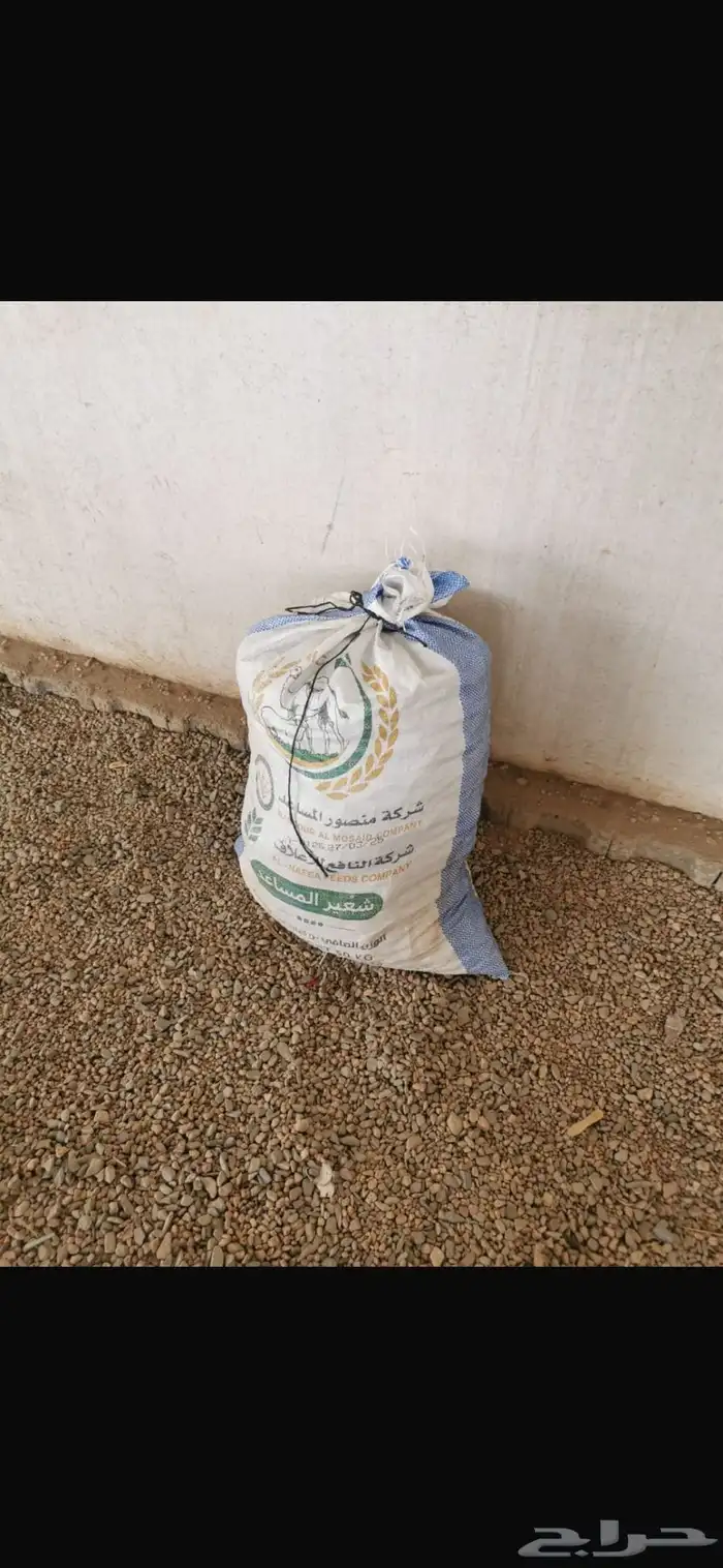 تمر وخبز 1