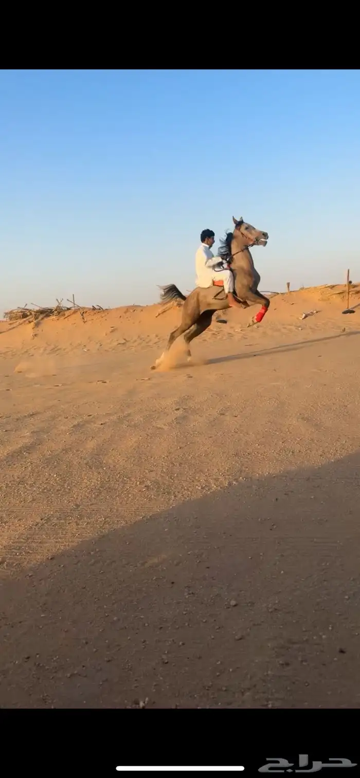 مهره شعبيه للبيع 3