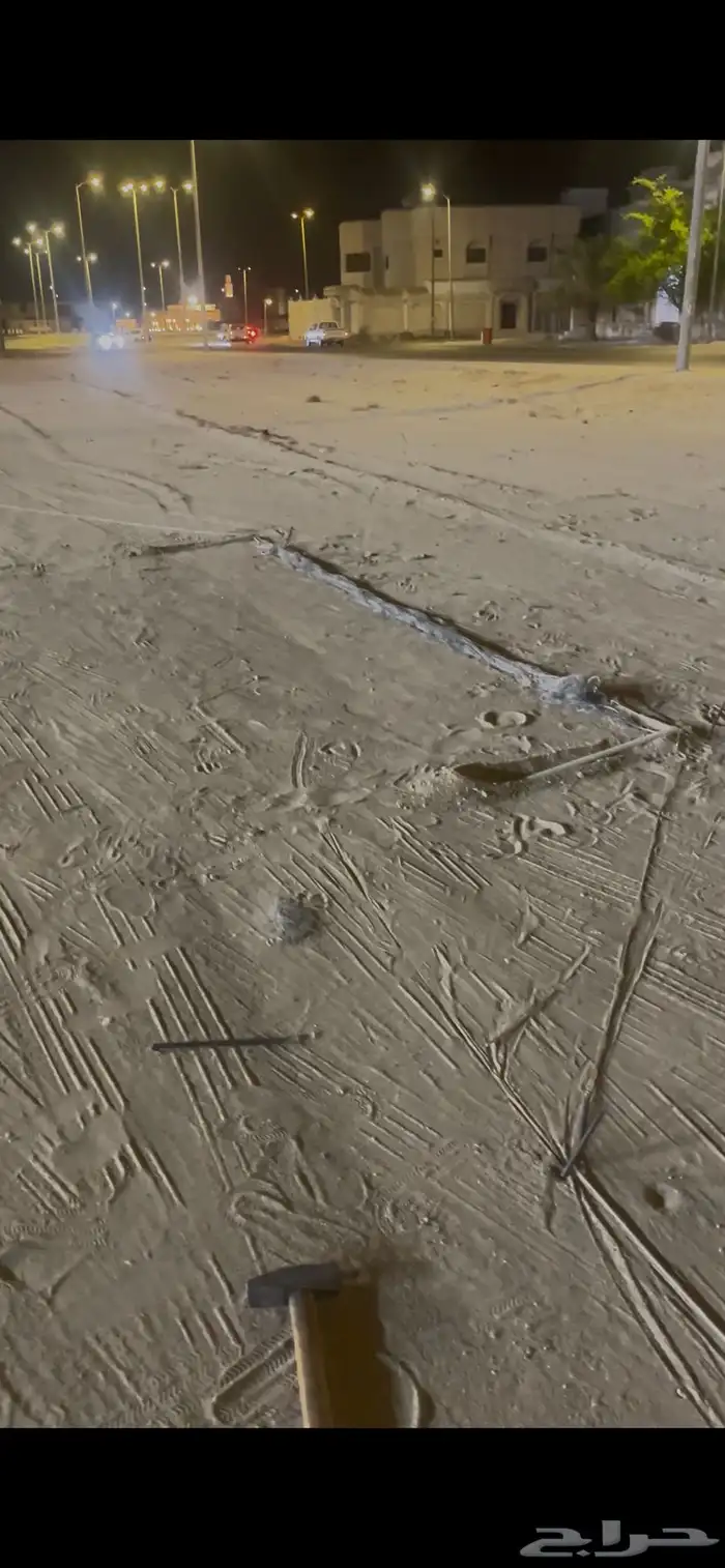 مصيدة طيور 0