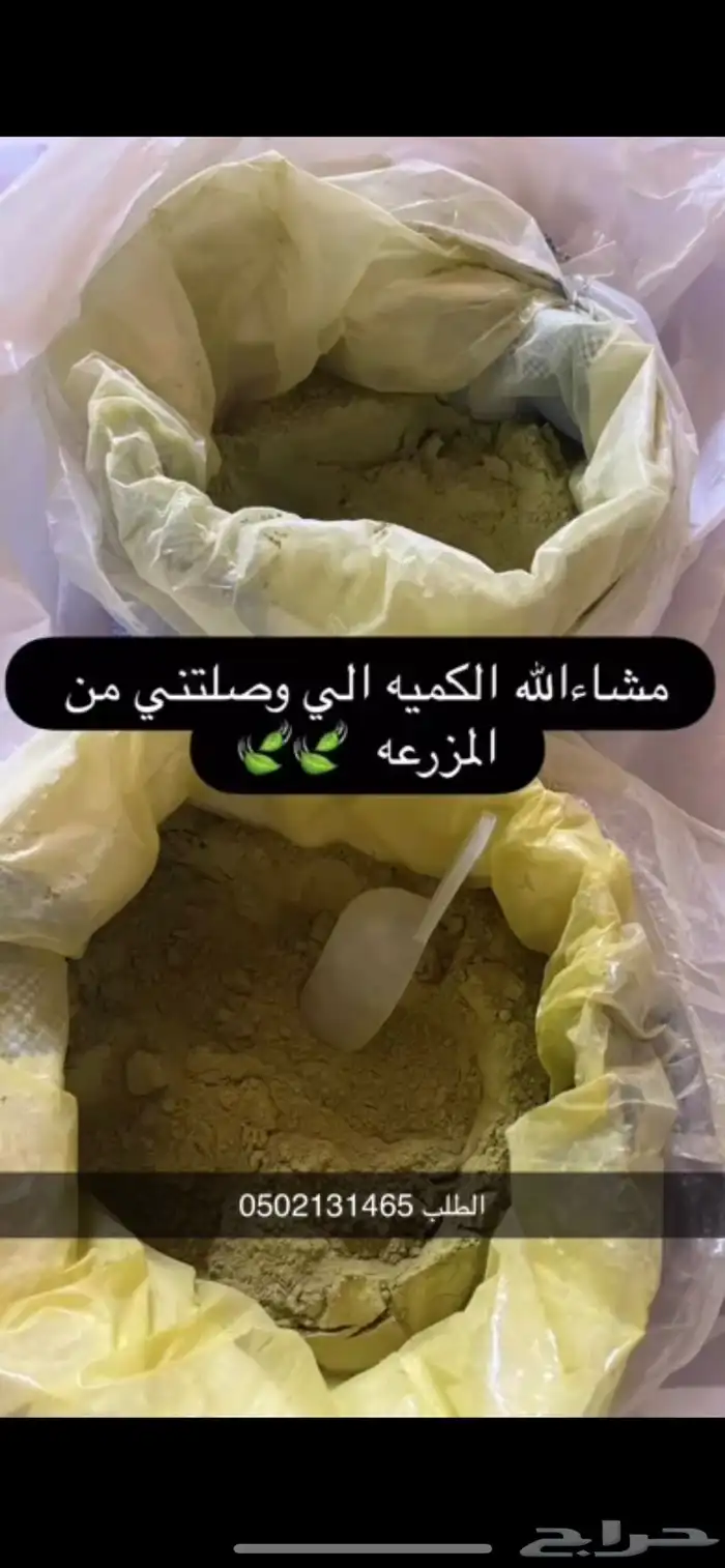 حنا وسدر طبيعي عضوي 0