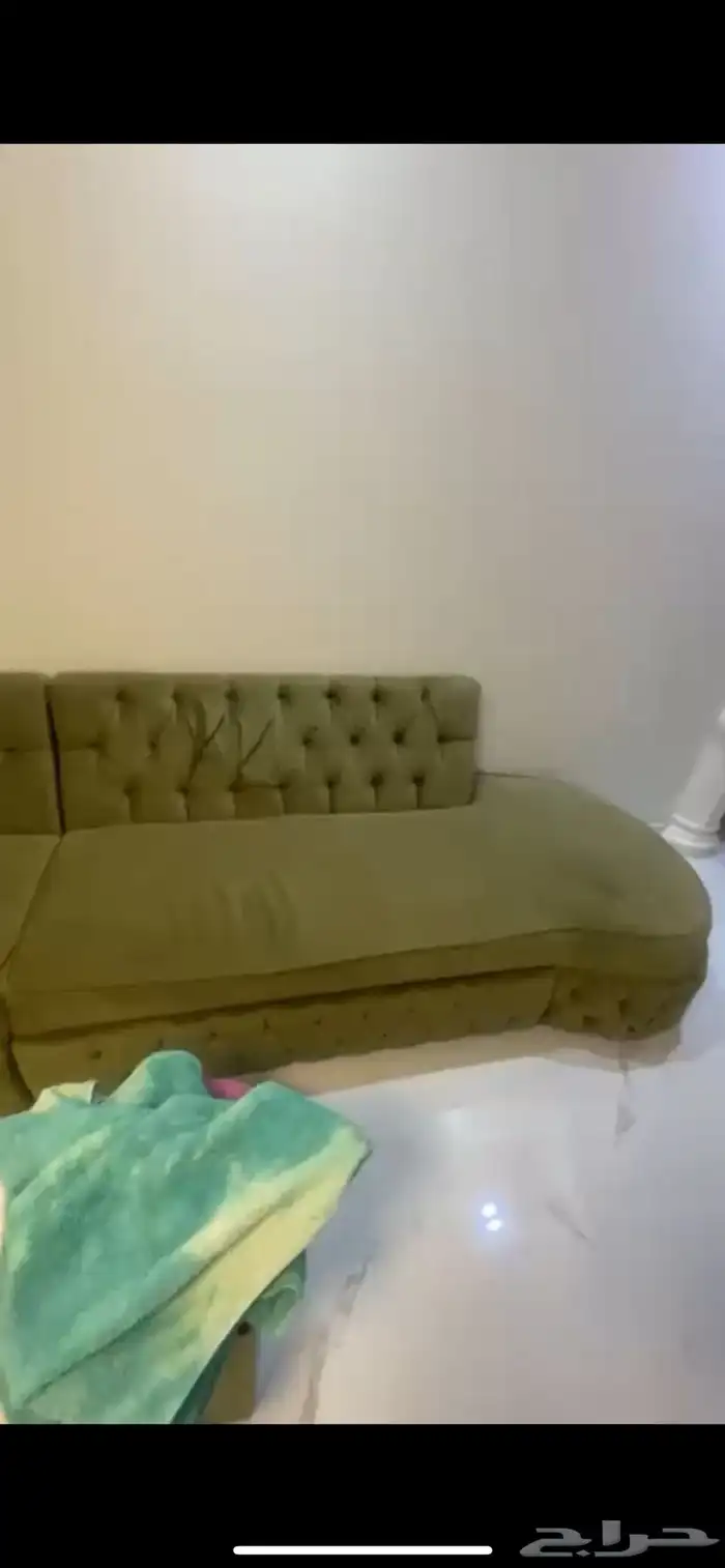 كنب جديد اخضر لون زيتي 0