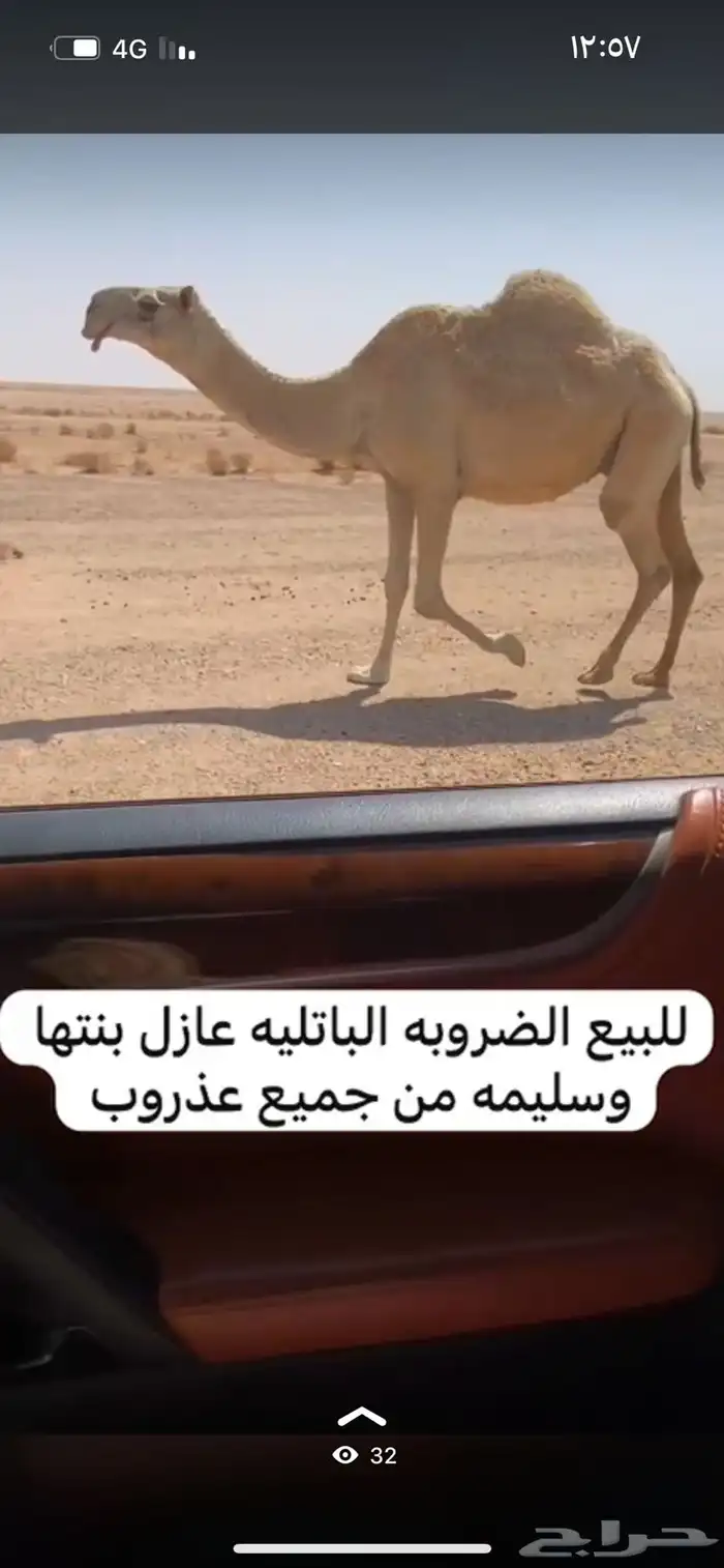 للبيع الضروبه عازل بنتها وعلى جميع الشروط 0