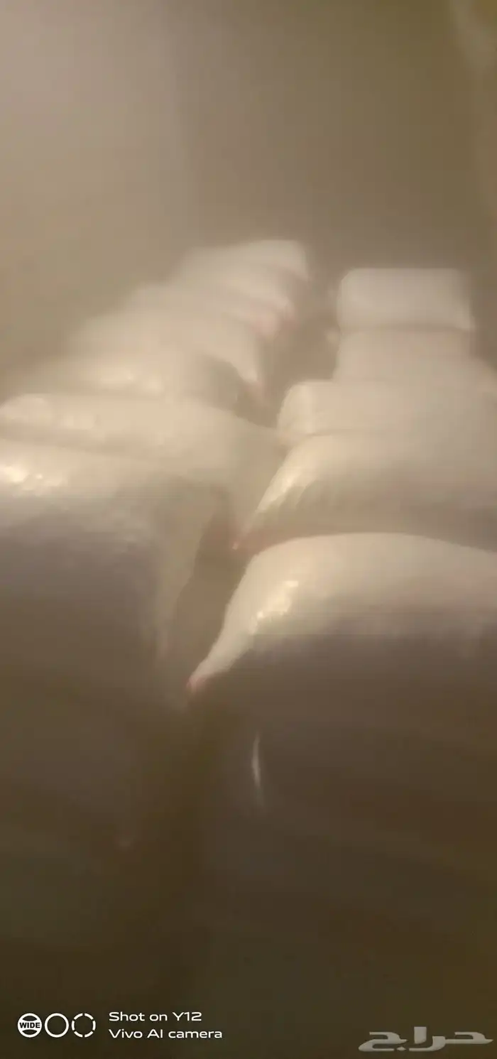 تمر للاغنام 0