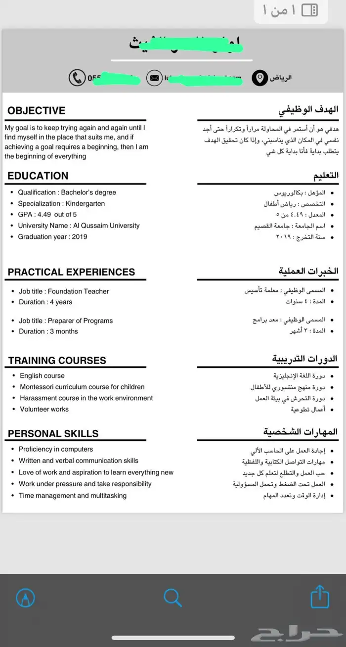 سيرة ذاتية احترافية 4
