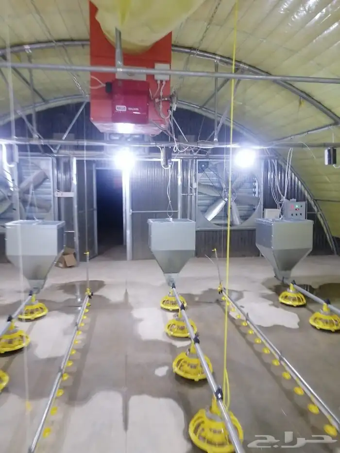 موسسه مقاولات لأنشاء حضائر الدواجن واللوحات الكهربائيه 5