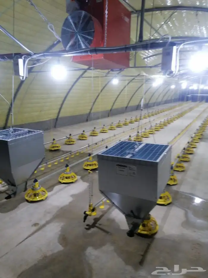 موسسه مقاولات لأنشاء حضائر الدواجن واللوحات الكهربائيه 7