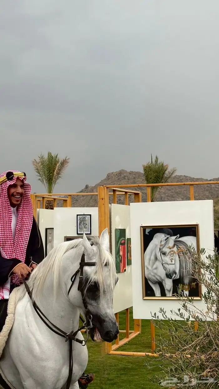 لوحة خيل عربي أصيل 0