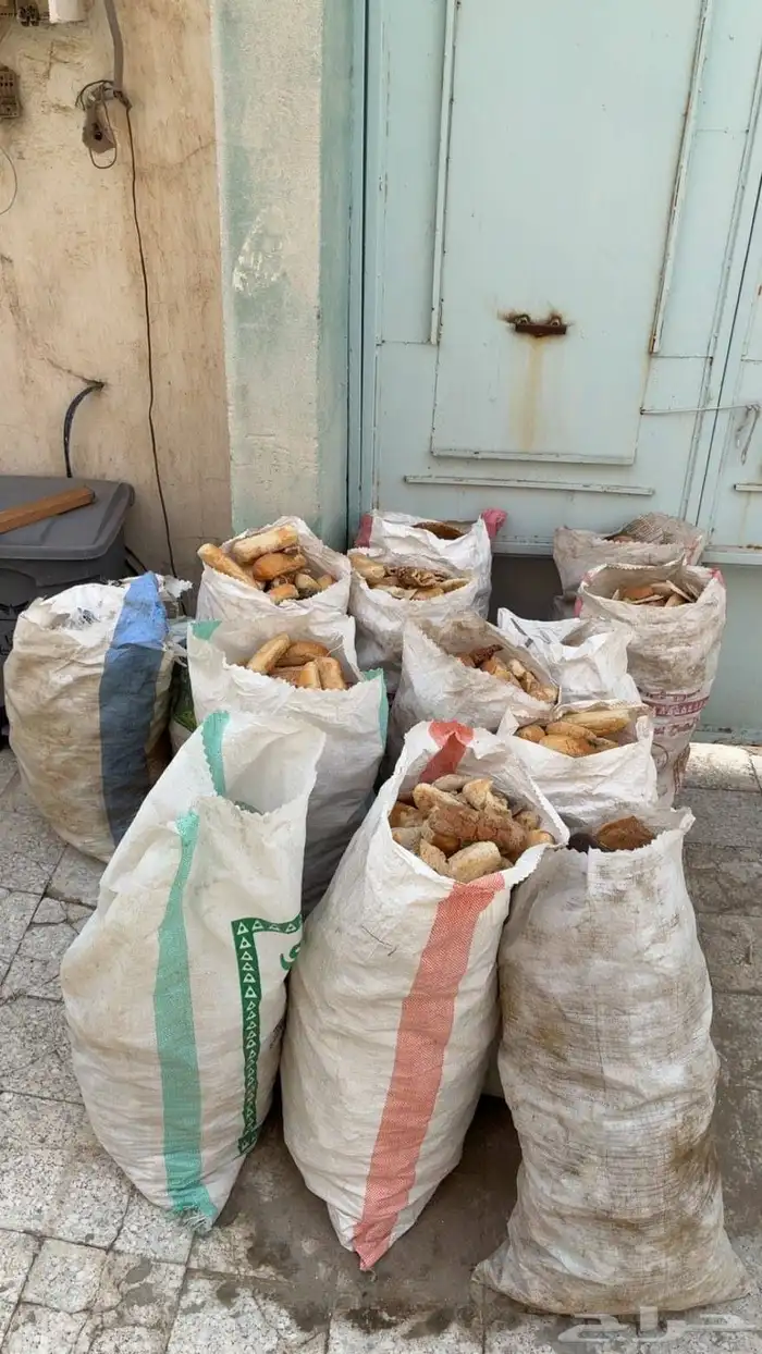 عيش ناشف للاغنام 0