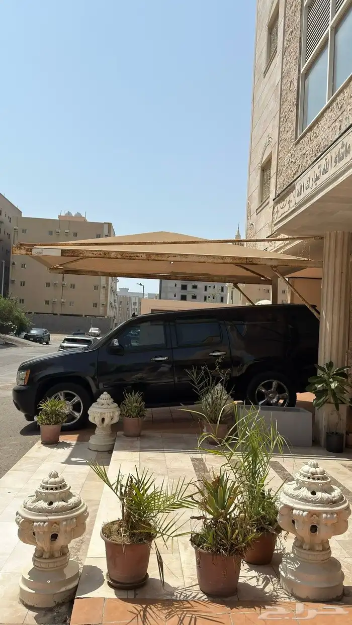 تاهو ممشى قليل 13