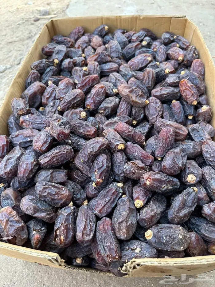 تمر حلوة العلا وبرني العيص 1