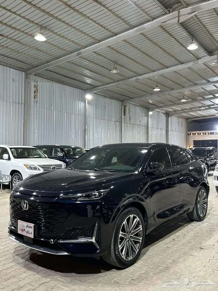 شانجان يوني كي 2023 قمة النظافة صيانات الوكالة مالك 2 1