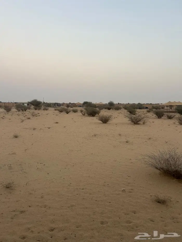 مراح كامل متكامل vip 8