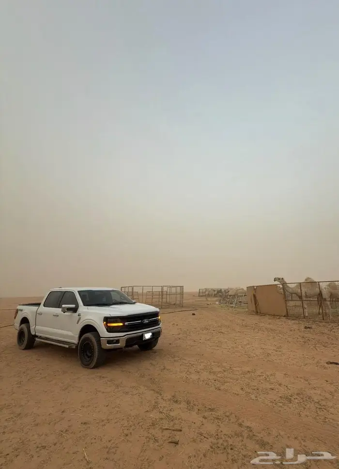 Ford F-150 xlt فورد ف-150 2024 3