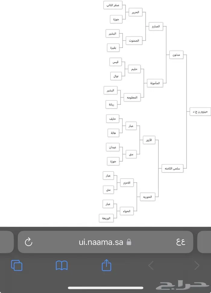 حصان جزيري بيور واهو 2