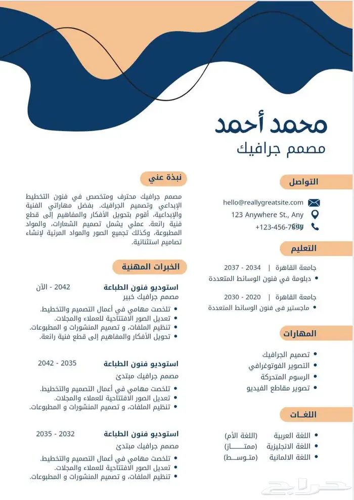 سيرة الذاتيه سيفي CV عرض خاص محدوده لمدة 24 ساعه 2