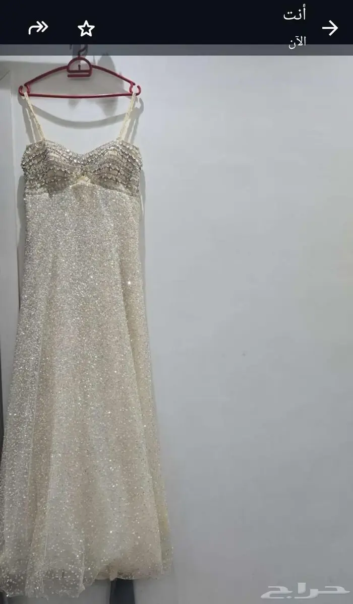 الرياض الرمال 3