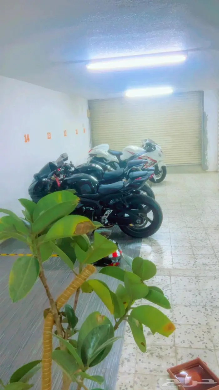 مواقف دبابات - دراجه ناريه 1