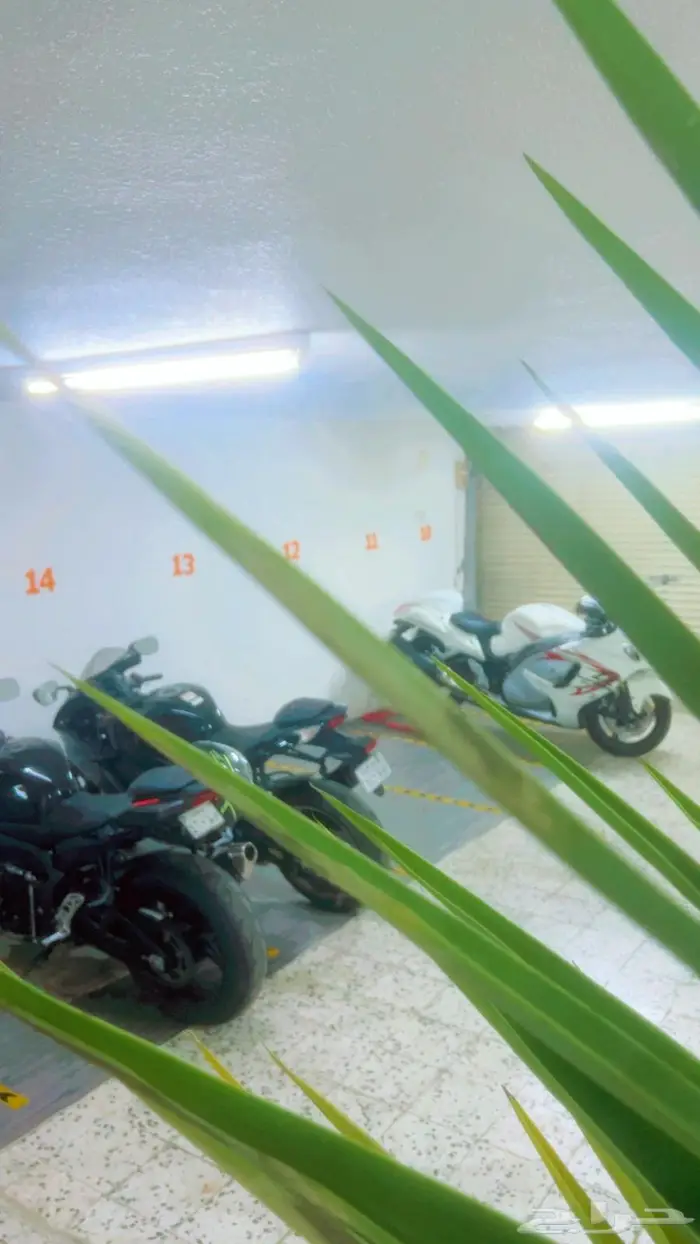 مواقف دبابات - دراجه ناريه 7