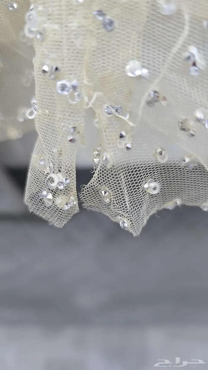 الرياض الرمال 0