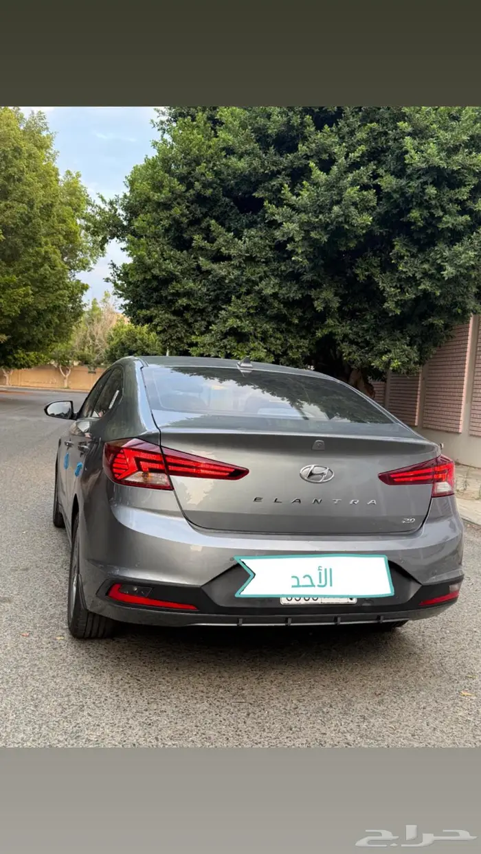 النترا 2019 نص فل 11