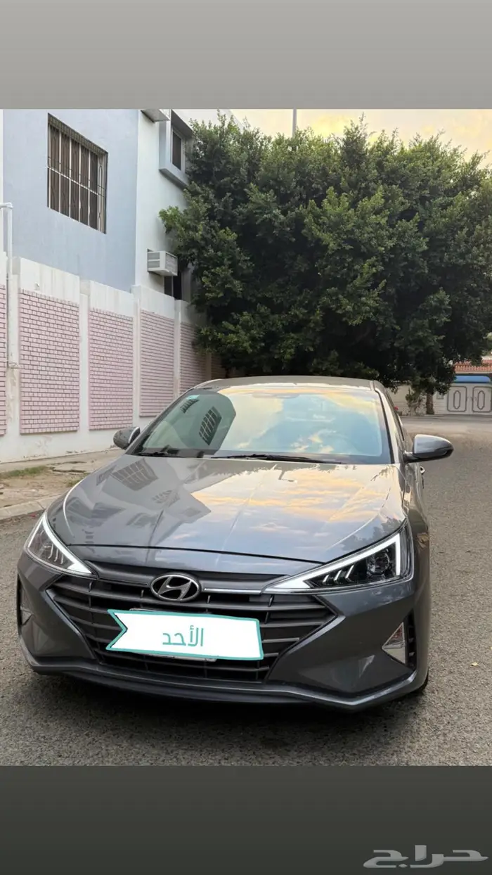 النترا 2019 نص فل 12
