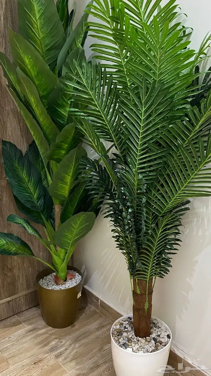 اثاث 0
