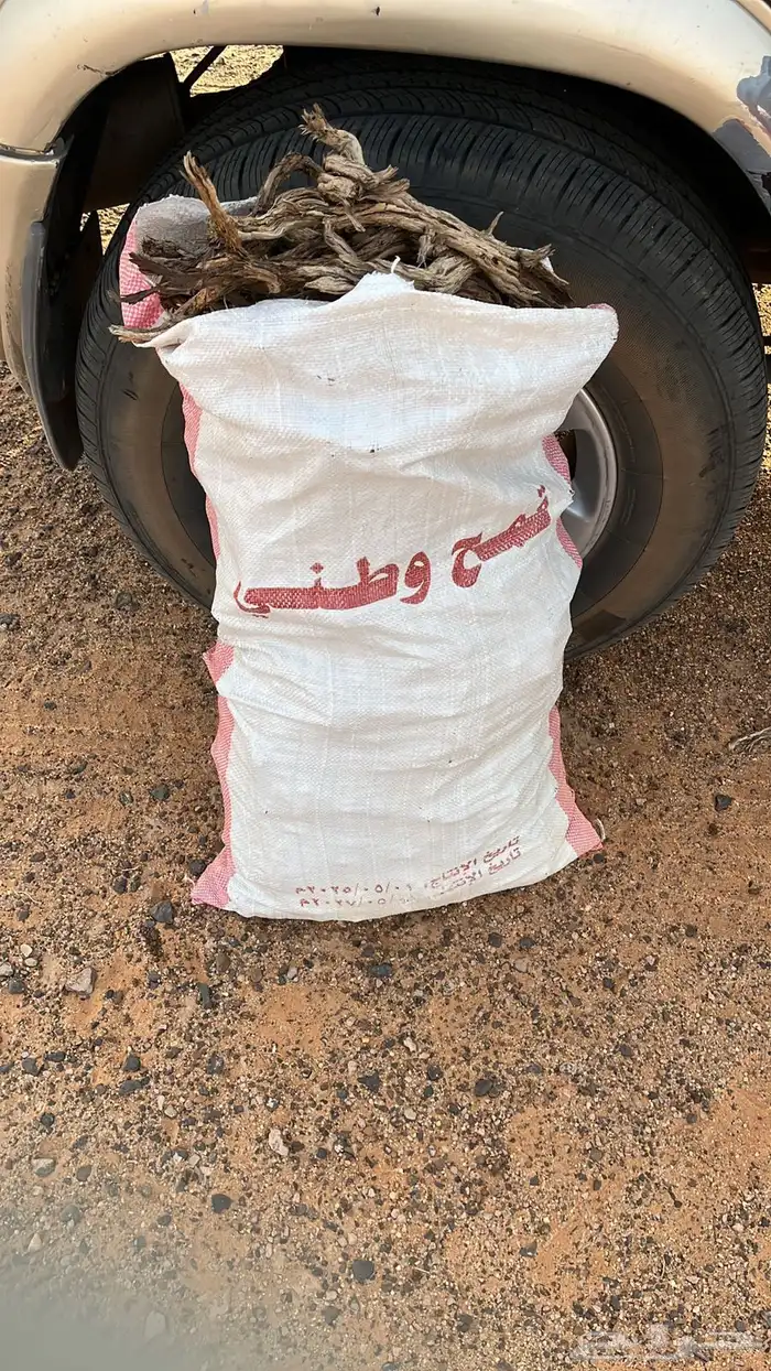 للبيع رمث 0