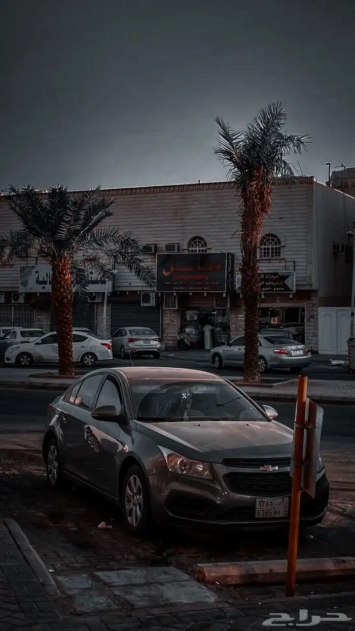 مطلووب  صدام كروز 2016 0