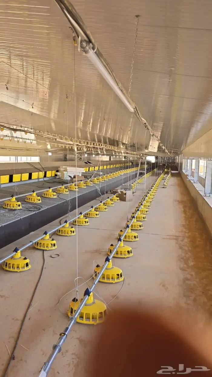 موسسه مقاولات لأنشاء حضائر الدواجن واللوحات الكهربائيه 24