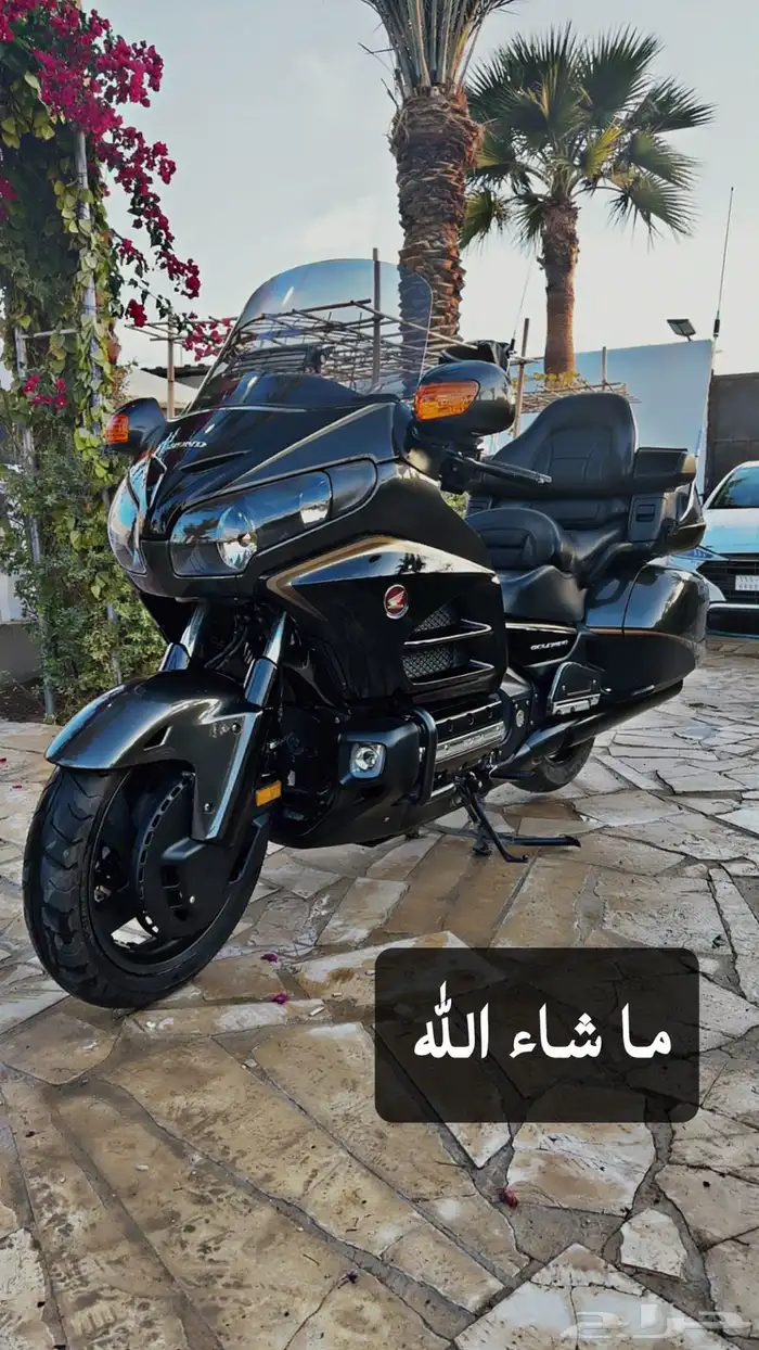 قولد وينق 2016 موكا نظيف 0