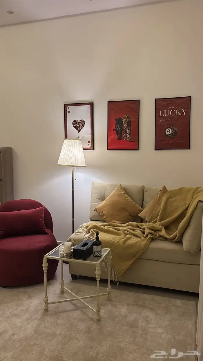 استديو للايجار بحي قرطبة for rent 4