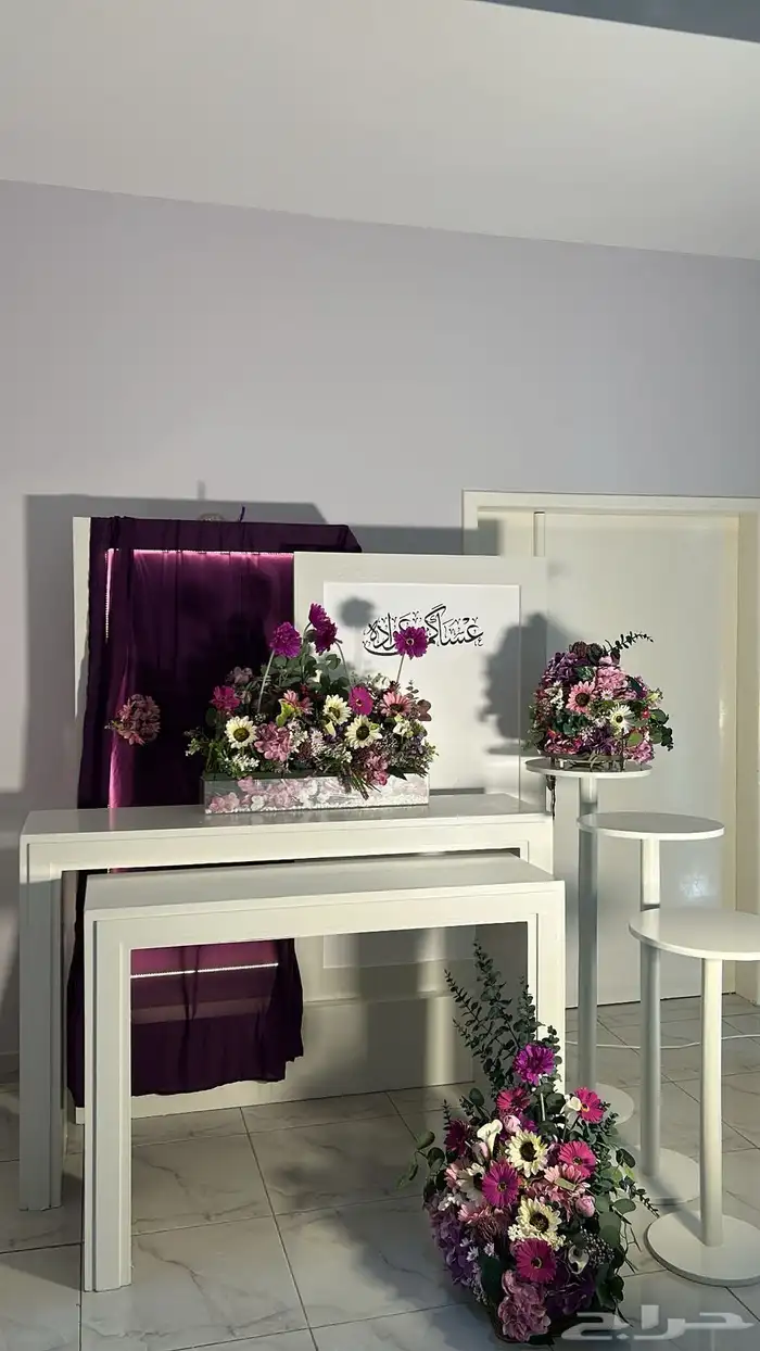 استقبال وشاشة عرض 2