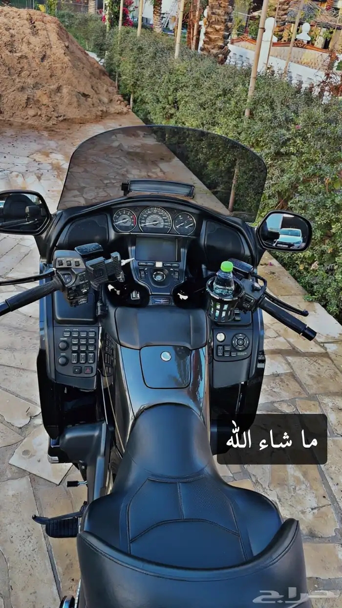 قولد وينق 2016 موكا نظيف 2