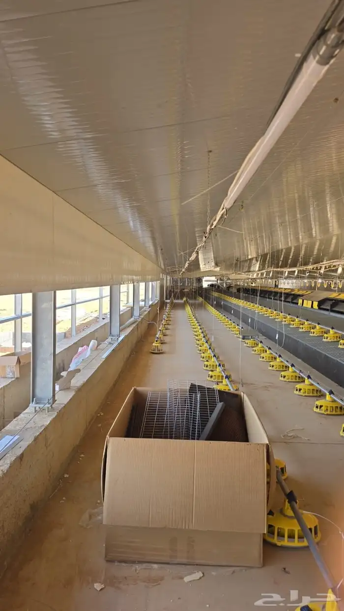 موسسه مقاولات لأنشاء حضائر الدواجن واللوحات الكهربائيه 25