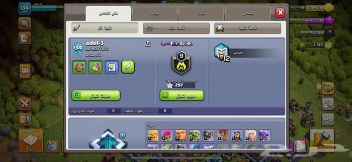 تاون هون 13 شبه ماكس 0