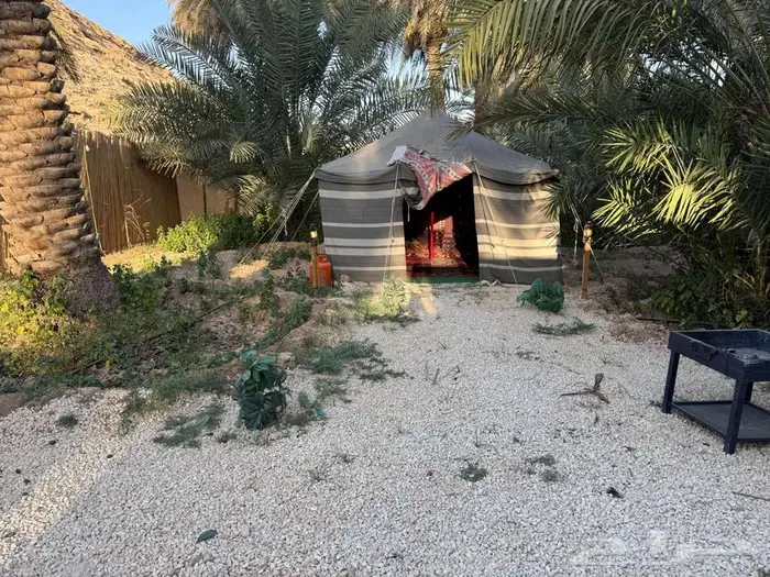 كرفان فخم محاط بنخيل مع اطلالة جبلية ب300 ريال شامل المبيت 3