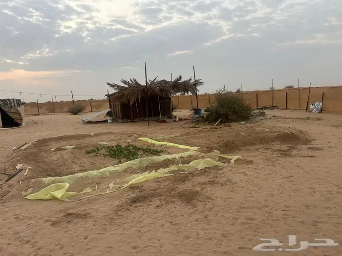 مراح كامل متكامل vip 0