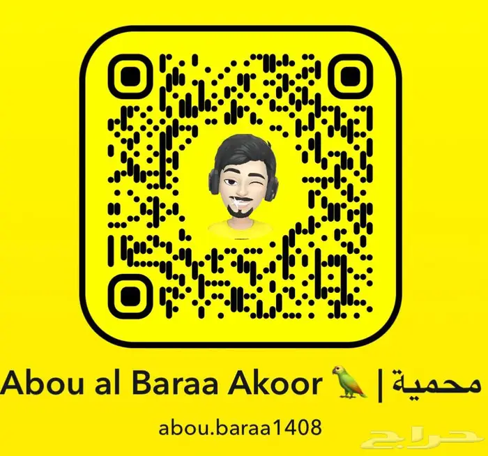 زوج درة هندي 6