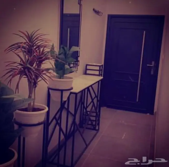 استراحة للايجار اليومي 11