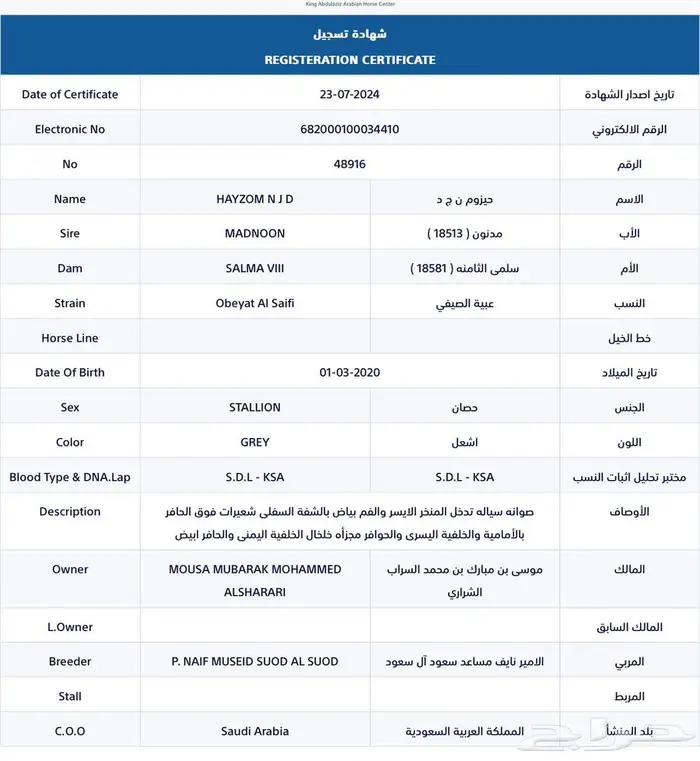 حصان جزيري بيور واهو 3