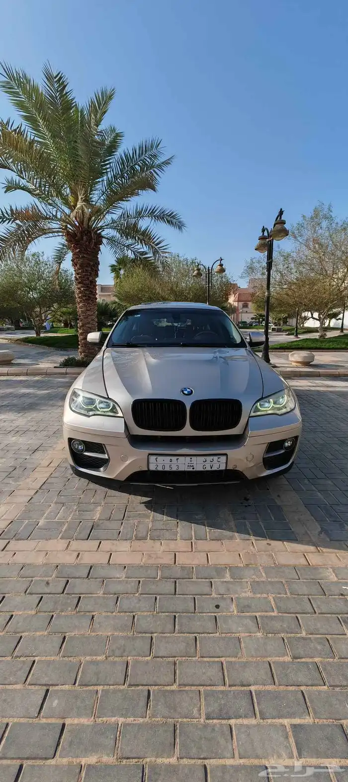 بي ام دبليو BMW X6 2013 5