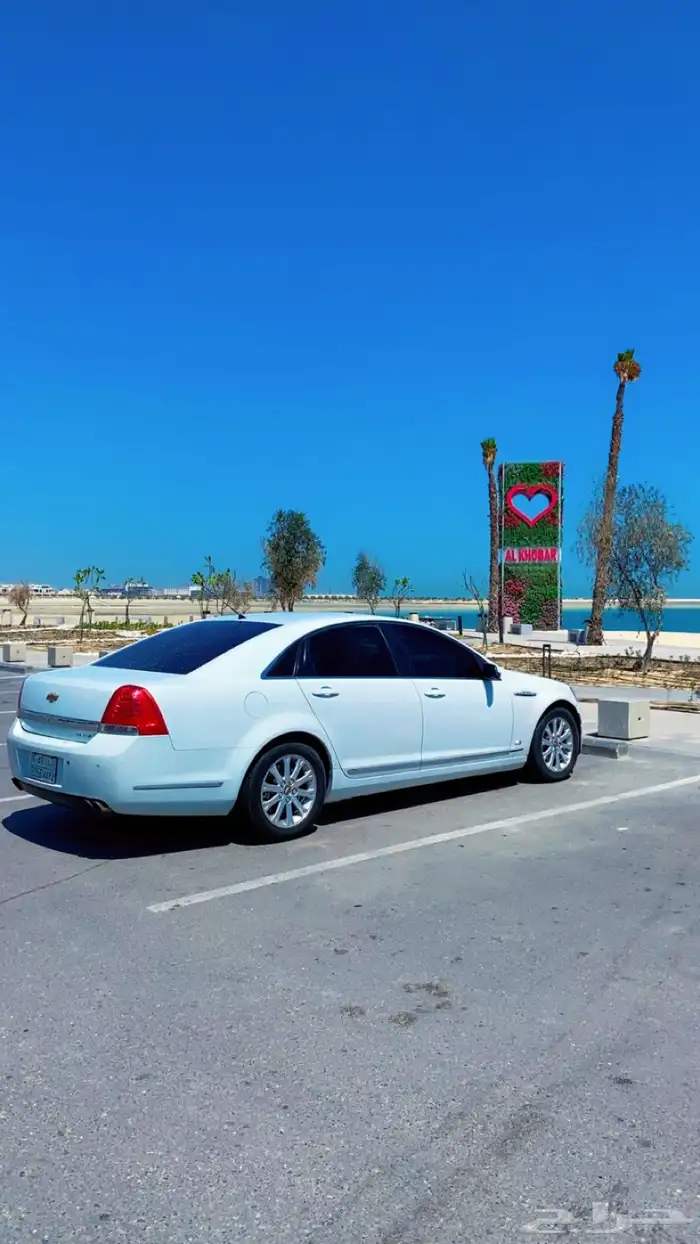 كابرس 2008 7
