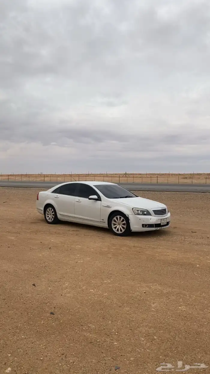 كابرس 2008 8