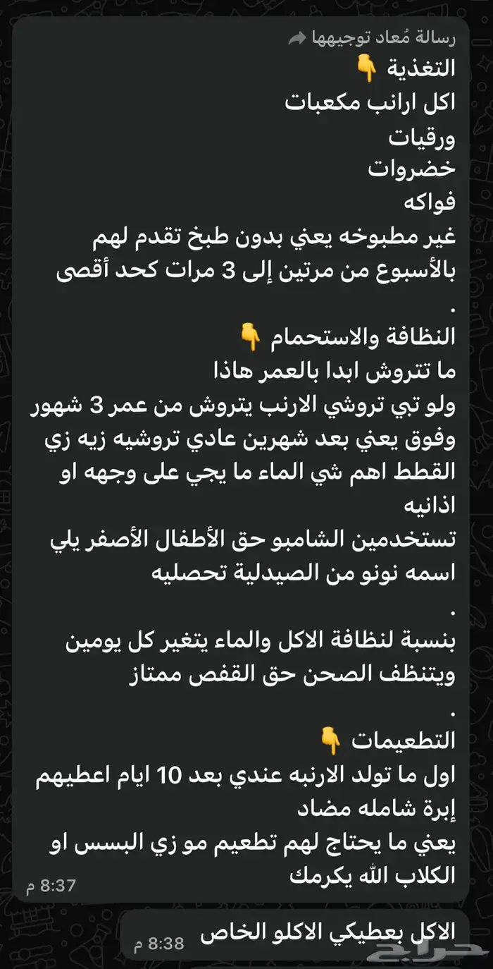 أرنب للبيع 2