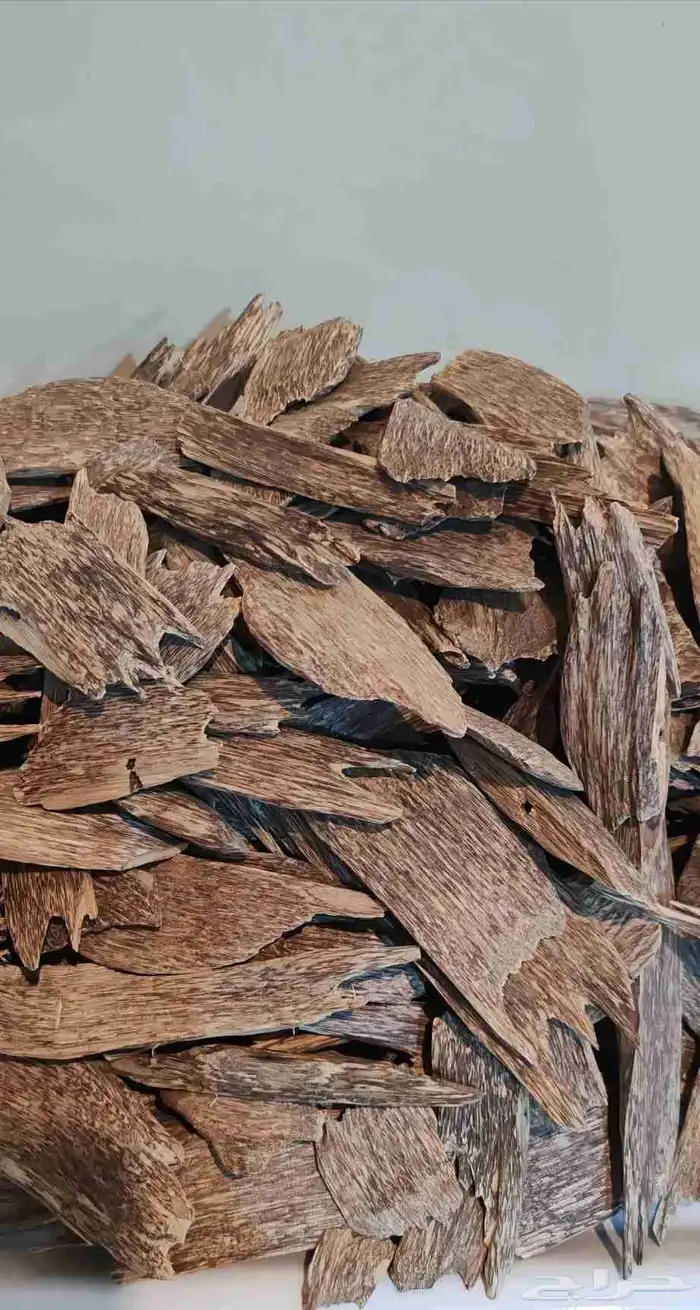 عود طبيعي آتشية 0