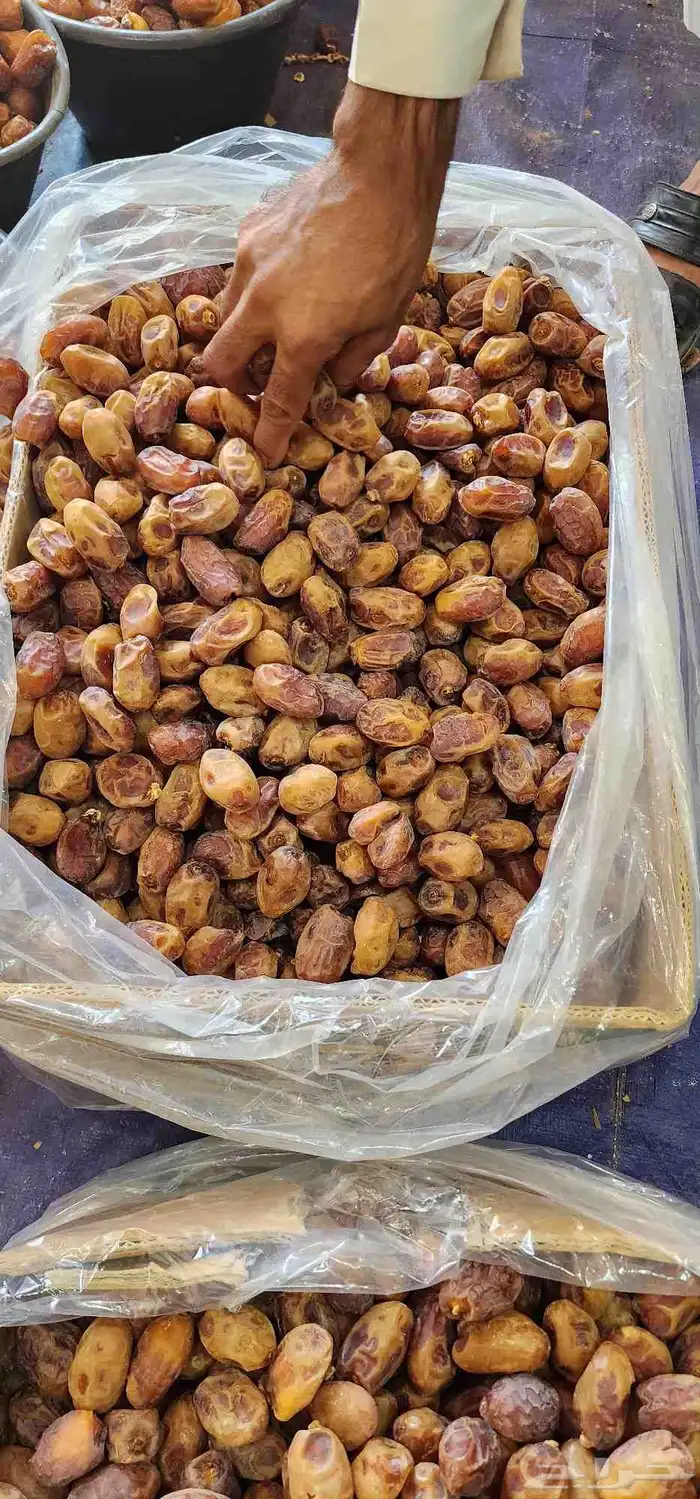 تمر اخلاص الغاط حبه كبير 0