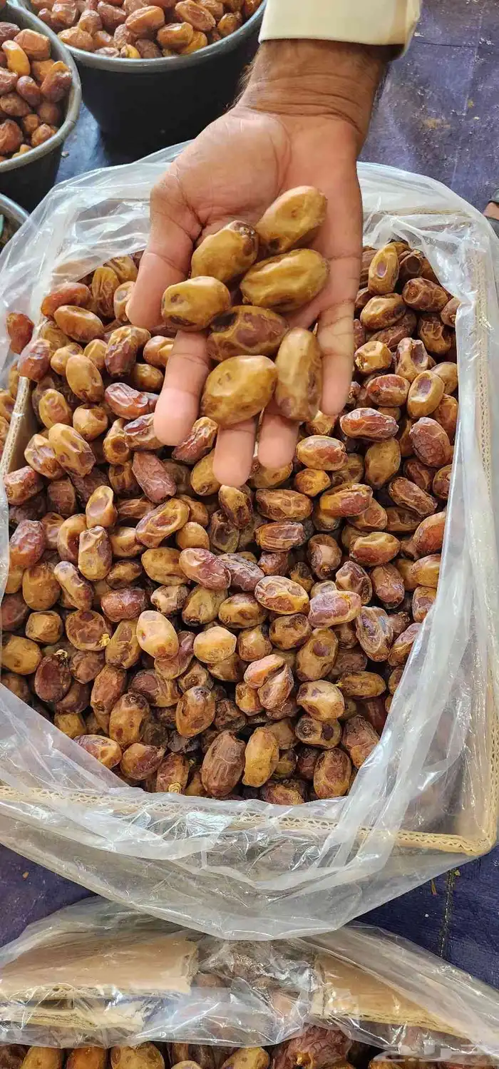 تمر اخلاص الغاط حبه كبير 1